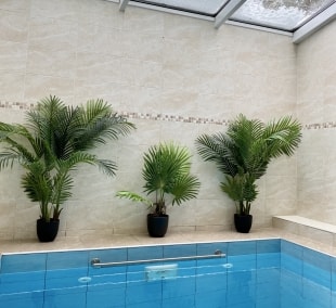 Agluonėnų parko apartamentai, SPA 2