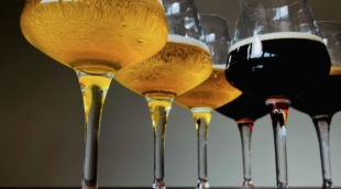 Alaus ir maisto pažinimo edukacinis vakaras 4