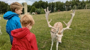 alpakalnis moletai 2