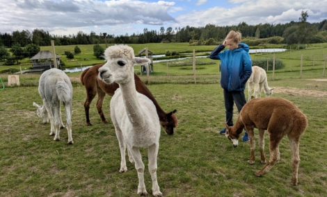 pxl 20250817 113731852 mp  2