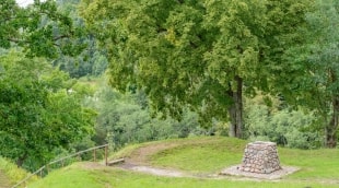 ka pamatyti alytuje aplinka 14139