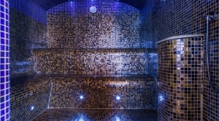 spa amber palace aplinka