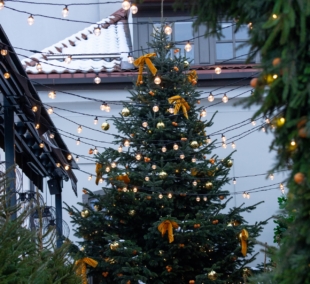 U. Petkutės nuotr (5)