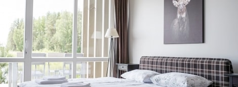 poilsis barono vila langas 15604