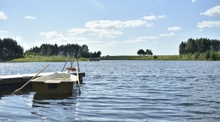 poilsis barono vila aplinka 14339