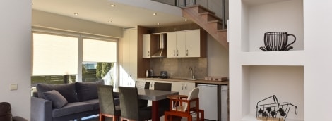 Vila (10)
