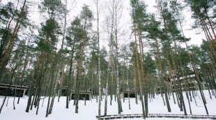 belvilis ziema aplinka