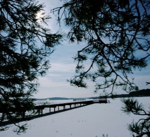 belvilis ziema gamta