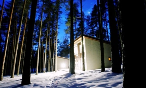 belvilis ziema kamienai