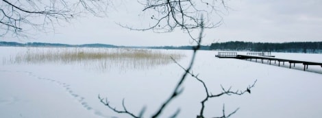 belvilis ziema medis