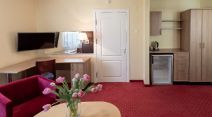 Best Palanga Hotel, apartamentai 308 (1)