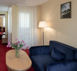 Best Palanga Hotel, apartamentai 308 (3)