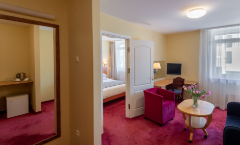 Best Palanga Hotel, kambarys 213 (8)