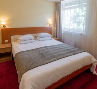 Best Palanga Hotel, kambarys 213 (9)