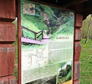 ka pamatyti birzuose karves ola informacija 10417