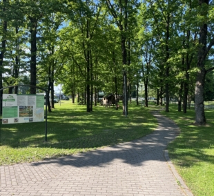 Biržų kempingas