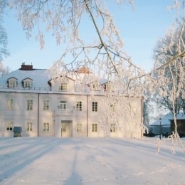 poilsis bistrampolio dvare ziema 13099