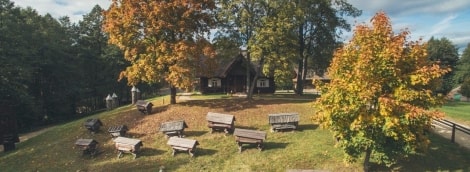 IMG 0070