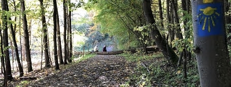 camino lituano (4)