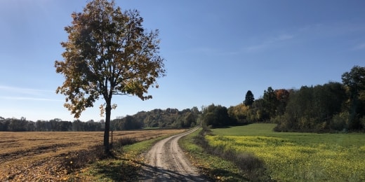 camino lituano (5)