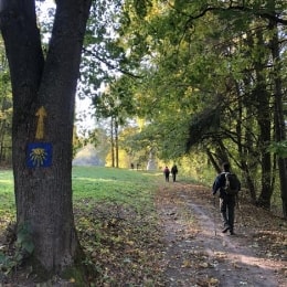 camino lituano (6)