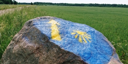 camino lituano (5)