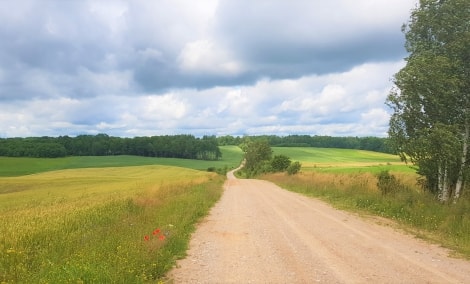 Camino lituano 2