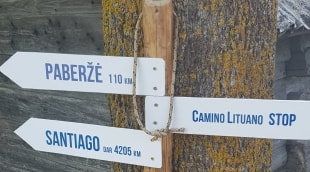 Camino lituano