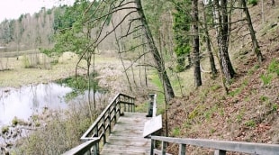 Daumantų atodanga 3