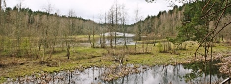 Daumantu atodanga 5