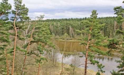 Daunamtų atodanga