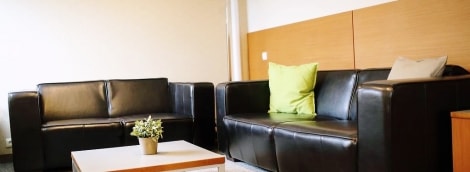 poilsis druskininkuose de lita sofa 13073