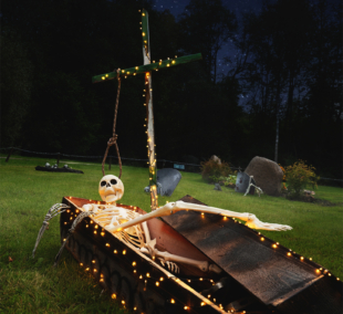 DINO de los BOO, Helovynas 3