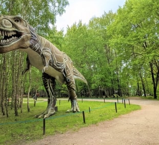 Dino parkas 5