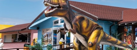 Radailių dvaras, dino