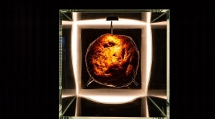 Domas Rimeika, Nida 2