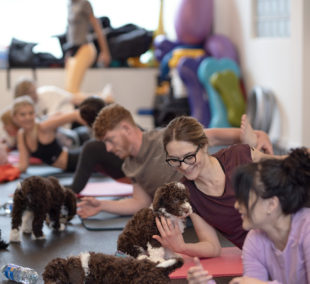Puppy Yoga, joga su šuniukais 5