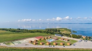 dreverna aplinka