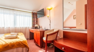 Medūna Druskininkai, standartinis kambarys