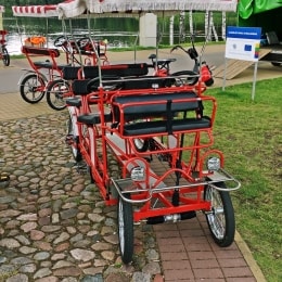 druksininkai