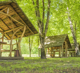 Druskininkų Kempingas 14