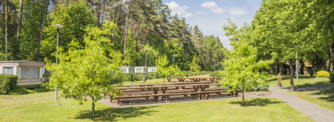 Druskininkų Kempingas 15