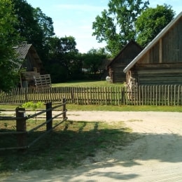 amatai (6)