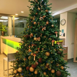 Eglės sanatorija Birštonas Kalėdos