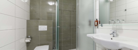 Eglės sanatorija Birštone, liuksas 5