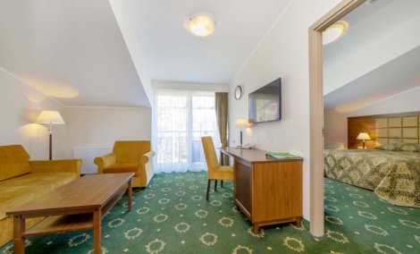 Eglės sanatorija Birštone, liuksas 6
