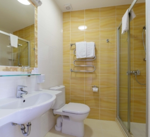 Eglės sanatorija, dvivietis kambarys 4