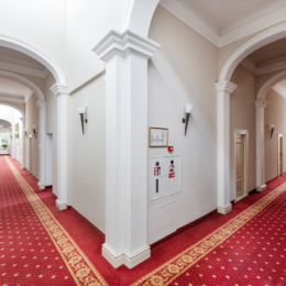 Europa Royale Druskininkai, aplinka 6