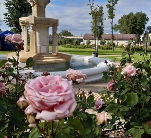 Villa rosary R.Valanciute Sluckuviene