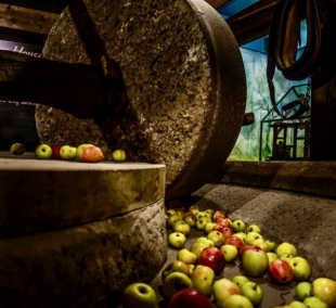 Gero alaus ir sidro parduotuvė 7